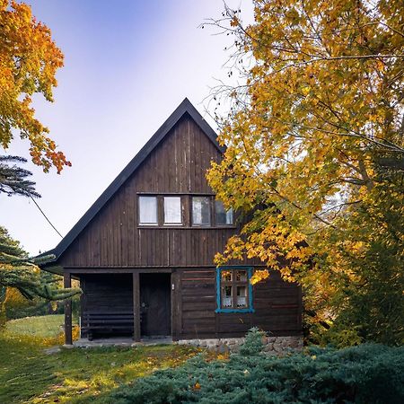 Dom Pod Klonem Na Kaszubach Villa Koscierzyna Bagian luar foto