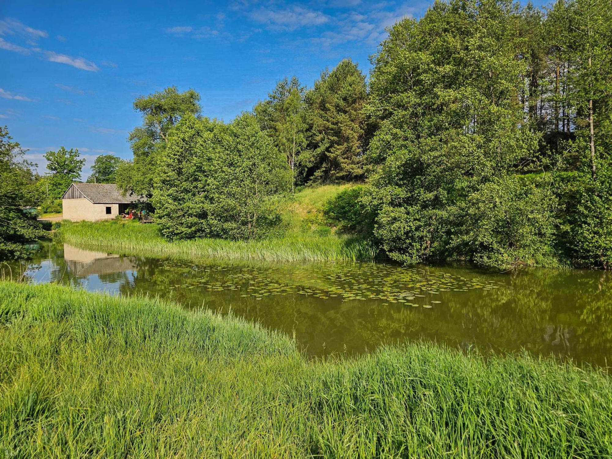 Dom Pod Klonem Na Kaszubach Villa Koscierzyna Bagian luar foto