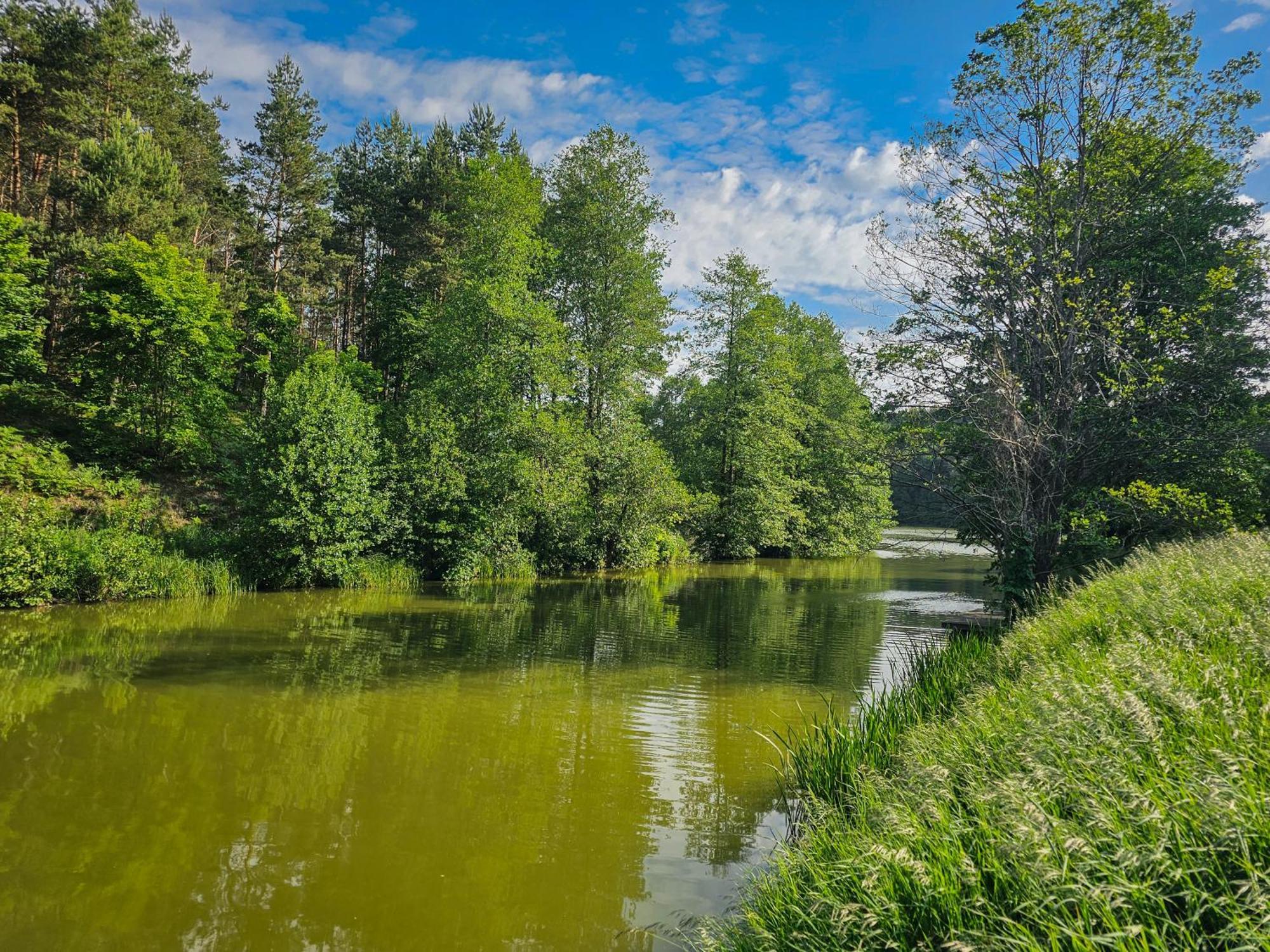 Dom Pod Klonem Na Kaszubach Villa Koscierzyna Bagian luar foto