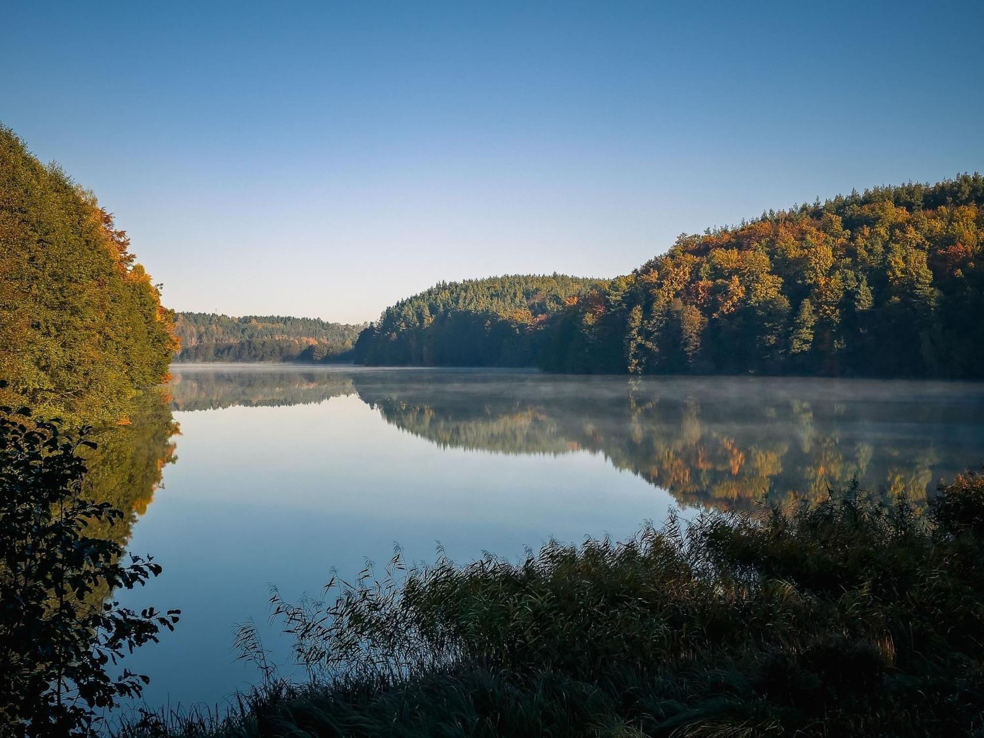 Dom Pod Klonem Na Kaszubach Villa Koscierzyna Bagian luar foto
