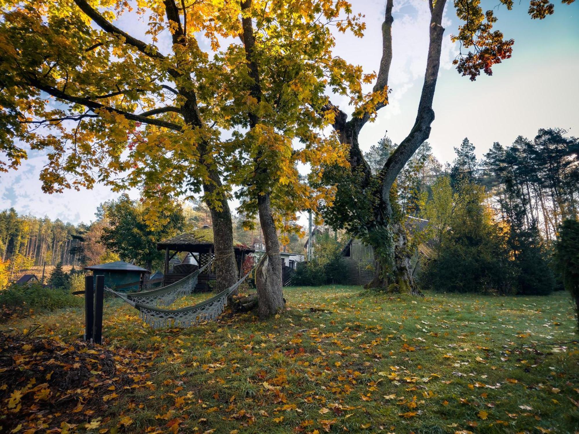 Dom Pod Klonem Na Kaszubach Villa Koscierzyna Bagian luar foto