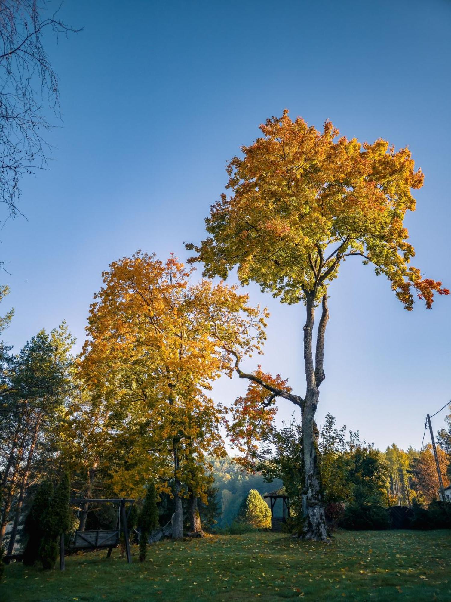 Dom Pod Klonem Na Kaszubach Villa Koscierzyna Bagian luar foto