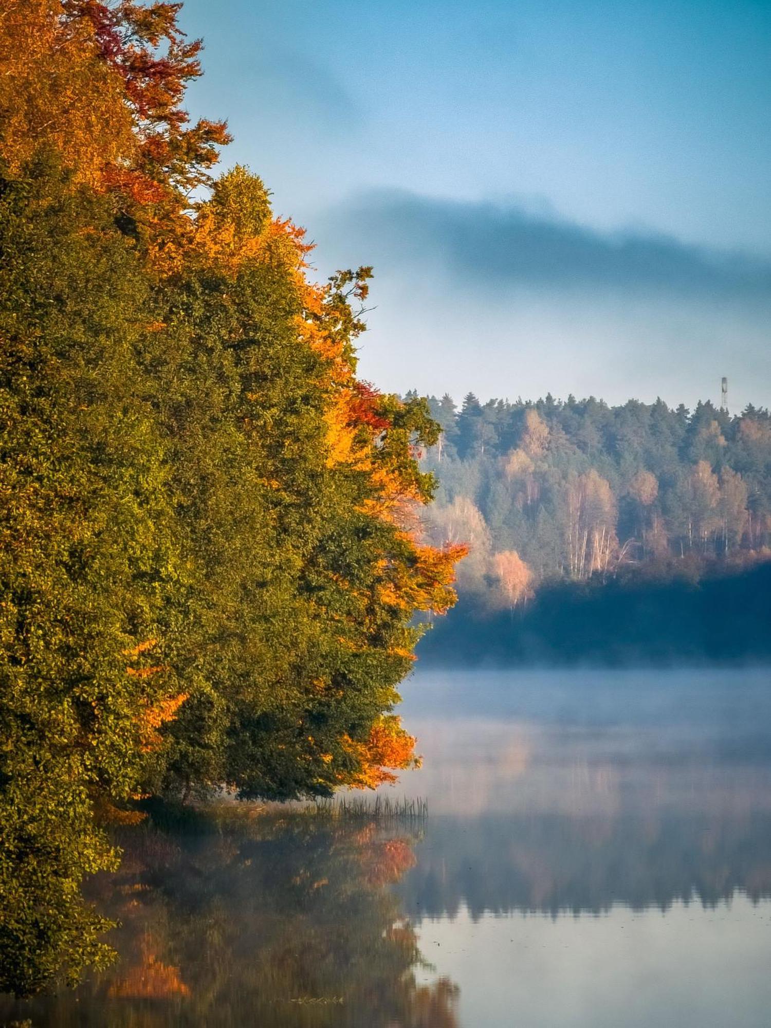 Dom Pod Klonem Na Kaszubach Villa Koscierzyna Bagian luar foto