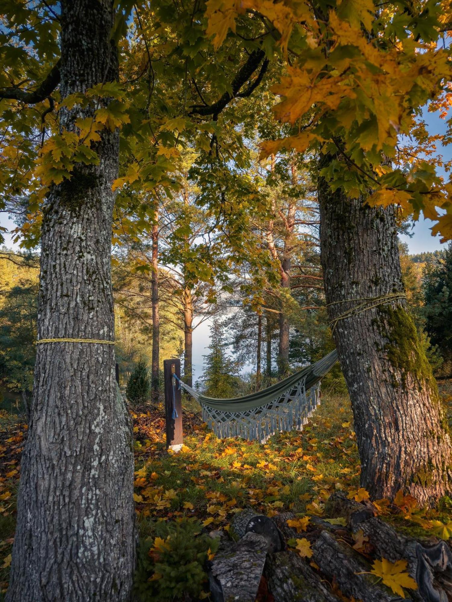 Dom Pod Klonem Na Kaszubach Villa Koscierzyna Bagian luar foto