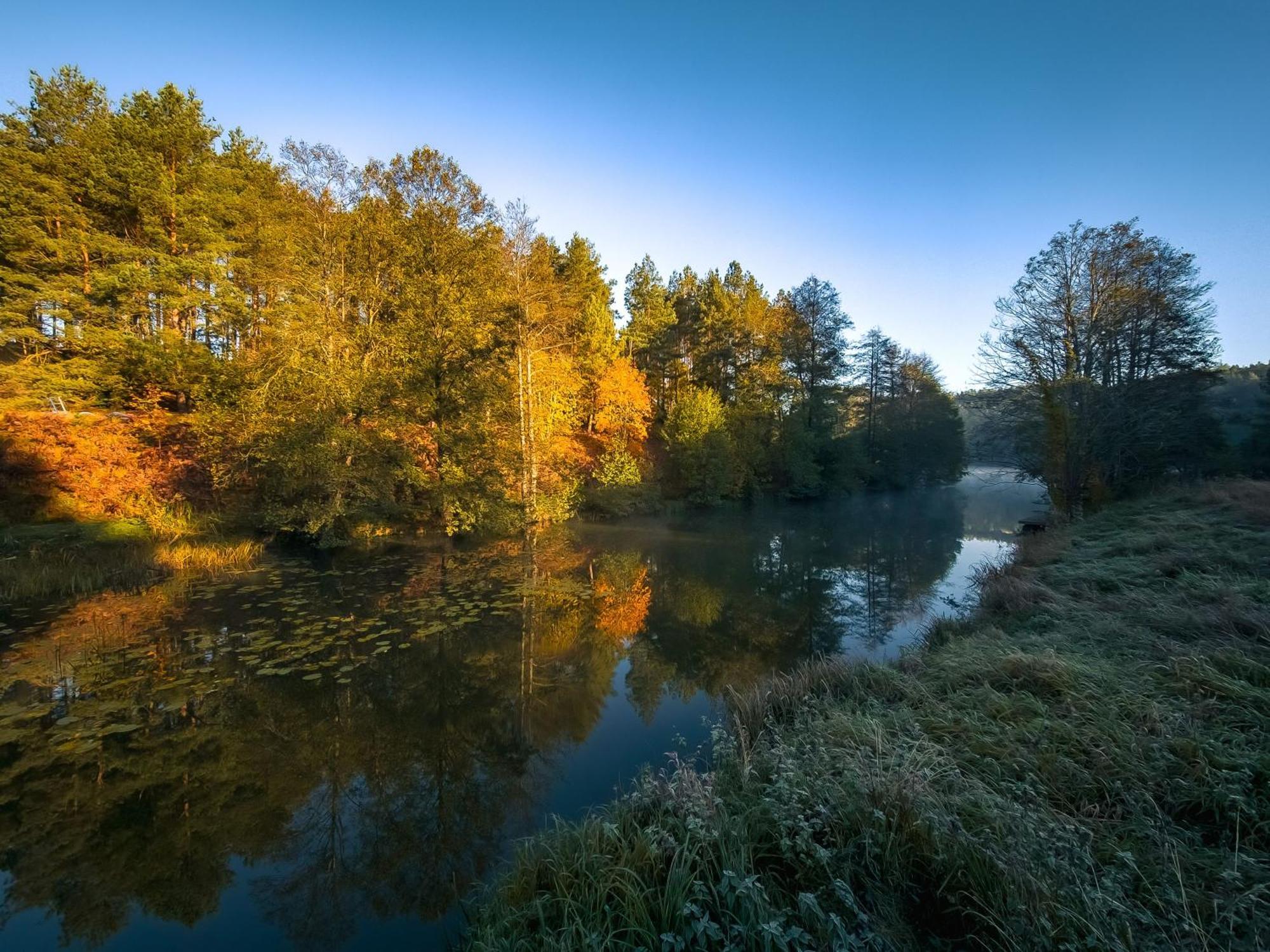 Dom Pod Klonem Na Kaszubach Villa Koscierzyna Bagian luar foto