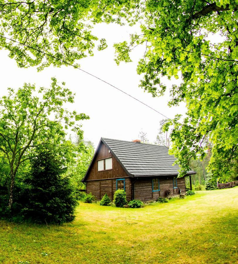 Dom Pod Klonem Na Kaszubach Villa Koscierzyna Bagian luar foto