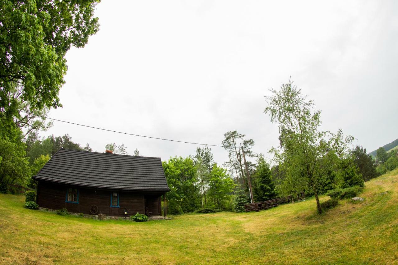 Dom Pod Klonem Na Kaszubach Villa Koscierzyna Bagian luar foto
