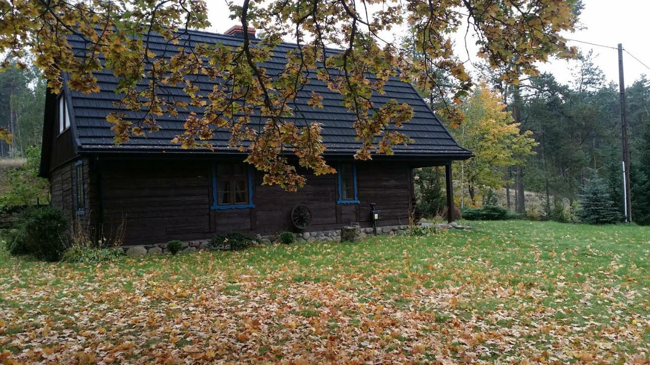 Dom Pod Klonem Na Kaszubach Villa Koscierzyna Bagian luar foto