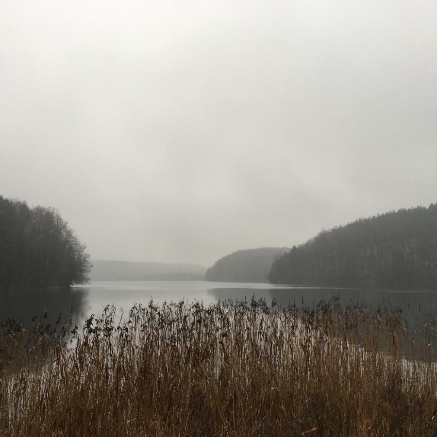 Dom Pod Klonem Na Kaszubach Villa Koscierzyna Bagian luar foto